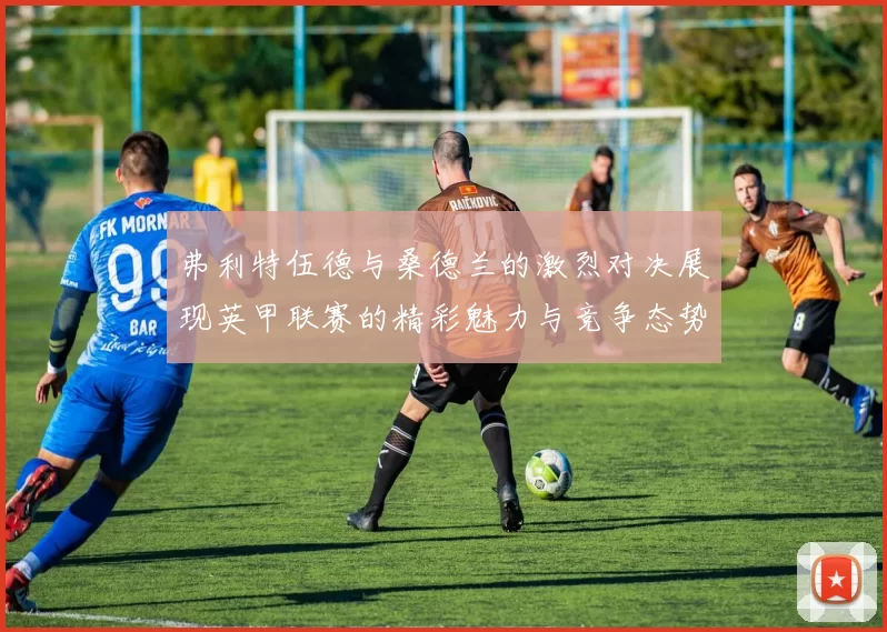 弗利特伍德与桑德兰的激烈对决展现英甲联赛的精彩魅力与竞争态势