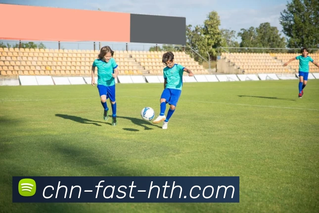 华体会平台生态图